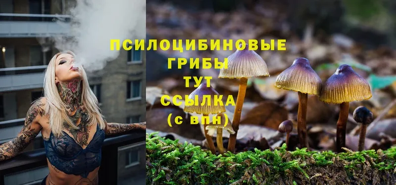 Галлюциногенные грибы Cubensis  купить наркотики сайты  Горбатов 